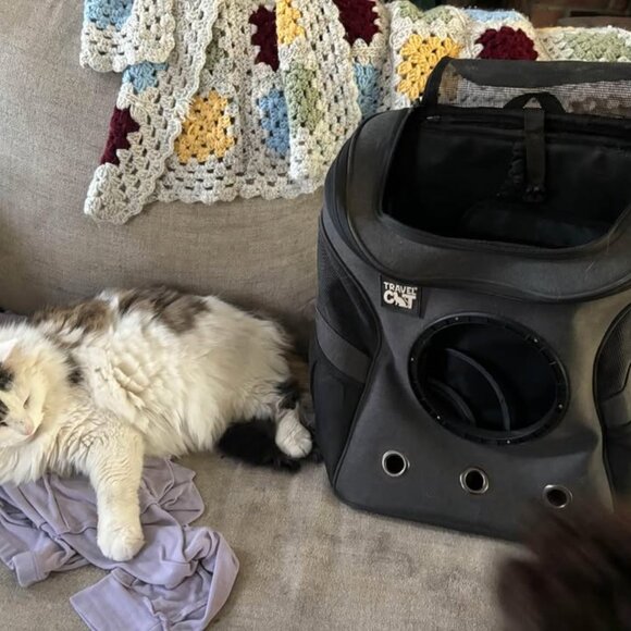 Travel Cat- Cat carrier... Made for XL Cats. - Picture 2 of 2